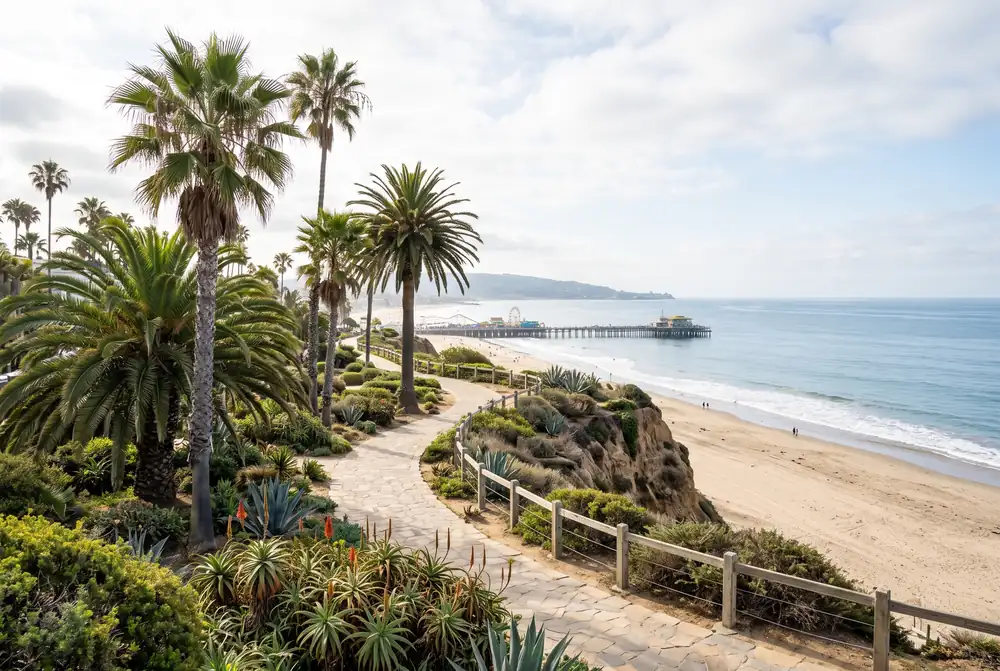 Palm-lined coastal bluff path above a wide beach and pier under soft morning light in Santa Monica
